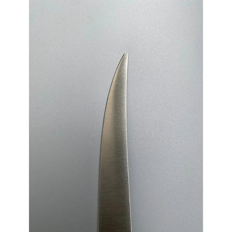 Diekensen 8" Fish Filleting Knife German Steel 1.4116 x50 Cr Mo V15 AllYourBlades