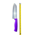 Diekensen 6" Santoku Knife Plastic Handle - Purple AllYourBlades