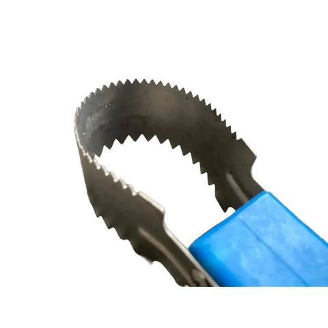 Stainless Steel Fish Scaler PVC Blue Handle FS01